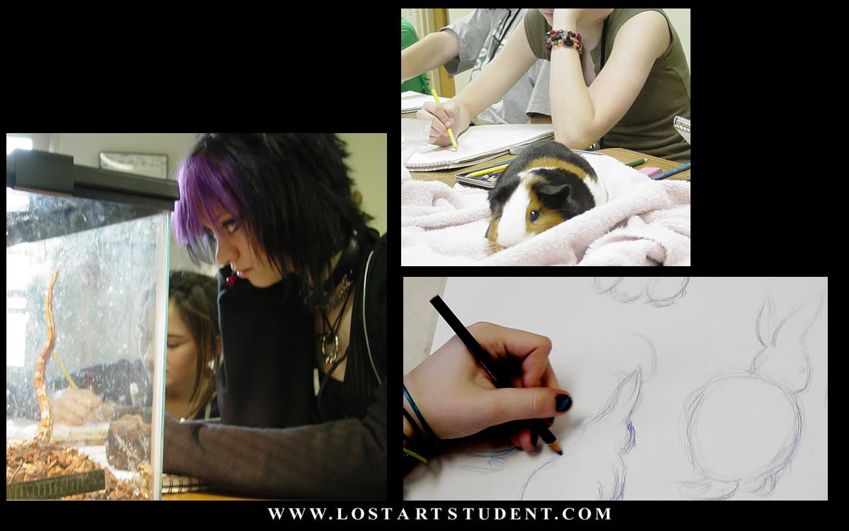drawing-from-life-animals-snakes-students-bunny-teacher-lesson-classroom-lesson
