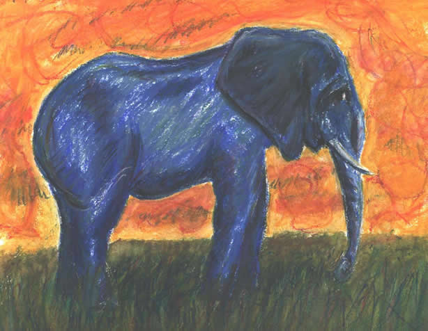elephant