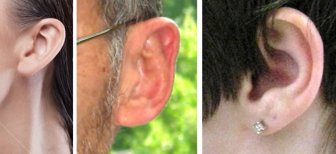 ear-drawing