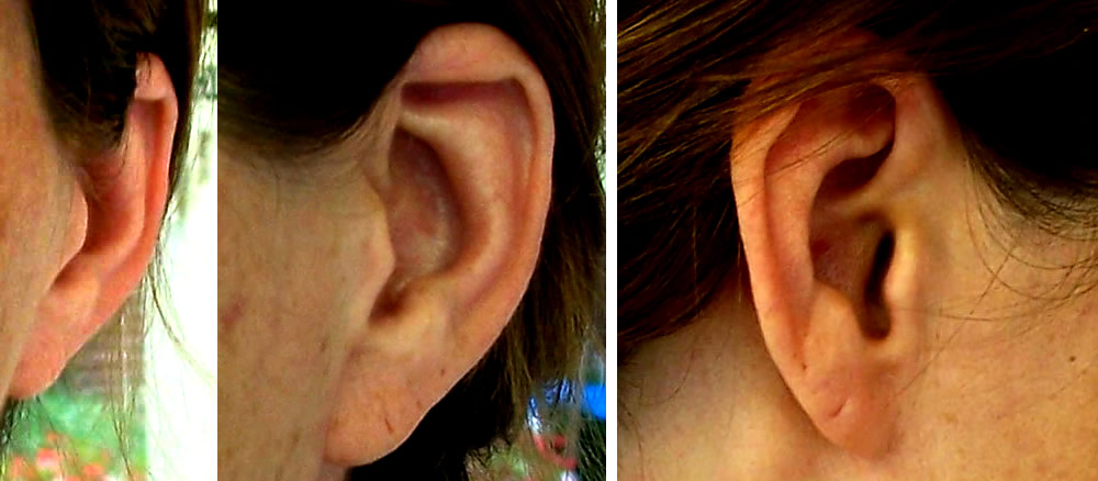 ear-drawing